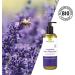 Greenendoor Lavender Massage Oil 500ml - Natural Cosmetics Savings Pack | Pure Mediterranean Essential Oils & Gifts - Buy Online on GoSupps.com