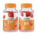 Lifeable Zinc 50mg + Vitamin B6 Gummies Bundle - Great Tasting Vitamin Supplement Gluten Free GMO Free Chewable Gummy