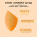 Real Techniques Miracle Complexion Sponge & Miracle Powder Sponge Duo Pack for Foundation & Powders 1 count (Pack of 1) - Buy Online on GoSupps.com