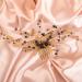 BERYUAN Women Girls Black Crystal Rhinestone Gold Beads Hair Comb Rhinestone Wedding Hair Comb Gold Bride Headband Wedding Hair Accessories for Women Girls - Buy Online on GoSupps.com