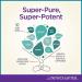 New Chapter Zyflamend Pure - 120 Vegetarian Capsules | Potent Herbal Extracts for Inflammation Support - Buy Online on GoSupps.com