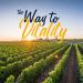 Vitalitown Probiotics - 101 Billion CFUs, 24 Strains, 30 Capsules | Best Digestive Health - Buy Online on GoSupps.com
