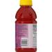 V8 Splash Berry Blend Juice Beverage 16oz Bottle (Pack of 12) - Refreshing Fruit Flavor - Buy Online on GoSupps.com