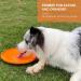 Laroo Dog Frisbee Toy for Large Dogs | 24.5cm Soft Bite-Proof Outdoor Training Toy - Perfect for Dog Teeth Protection - 1 Piece Set (Orange) - Buy Online on GoSupps.com