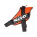 Julius-K9 IDC Powair dog harness size: XL / 2 Orange Orange XL/2