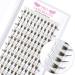 5D-C Premade Fans Eyelash Extensions 10mm - Volume Lash Extensions C D Curl - Pointed Base Fans 0.10 - Pack of 10 - Buy Online on GoSupps.com