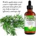 CGIFY 120ml Rosemary Essential Oil for Hair & Skin Care - Stimulates Hair Growth, Eyebrow and Eyelash Growth - Nourishing Scalp Treatment for Men and Women - Buy Online on GoSupps.com
