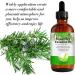 Rosemary Oil for Hair Growth Natural Rosemary Oil Nourishes the Scalp for Hair Regrowth & Hair Thickening - Hair Loss Prevention(120ml) - Buy Online on GoSupps.com