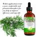 Organic Rosemary Oil 4.04 oz | Hair Growth & Skin Care | Scalp Treatment for Hair Loss | Pure & Upgraded - Buy Online on GoSupps.com