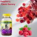 B12 500 mcg Spring Vallley Raspberry Flavor Gummy Vitamin B12 Gummies 200 ct (Pack of 1) + me Gusta Sticker - Buy Online on GoSupps.com