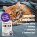 HomeoPet Feline Digestive Upsets Supplement for Cats - 15ml - Buy Online on GoSupps.com