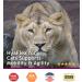 Buy Hyalogic HyaFlex for Cats - 1 oz Oral Hyaluronic Acid (HA) Supplement - Buy Online on GoSupps.com