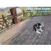 YUCFOREN Check Cord/Tie Out Long Rope Leash for Dog Training 15FT Obedience Recall Training Agility Lead for Large Medium Small Dogs Great for Training Camping Playing Backyard 15FT Black Blue - Buy Online on GoSupps.com