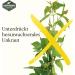 Martenbrown Yellow Mustard 10 kg Whole Grains | Yellow Mustard Seed for Green Manure | Whole White Mustard - Buy Online on GoSupps.com