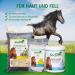 Premium Natural MSM Boots for Horses | 100% Organic 1kg - Supports Gel Metabolism Skin Fur & Hoof Growth - Buy Online on GoSupps.com