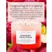Raspberry Apple Citrus Scented Candle | Natural 3 Wick Soy Candle for Home & Office | 15.8 Oz Long Lasting Aromatherapy & Stress Relief Candle - Buy Online on GoSupps.com