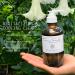 Natural Purifying Cleansing Gel | Organic & Cruelty-Free | Best for Oily Skin | Non-Toxic Formula (6 fl oz - Buy Online on GoSupps.com