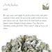Organic Artichoke Tea - Artichokes Thistle Cardone & Ashwagandha - 1 Pack of Healthy Herbal Blend - Buy Online on GoSupps.com
