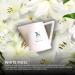 Buy Haby's Nature Massage Candle - White Mus 100ml | Relaxing Fragrance with Shea Butter Soy Wax & Argan Oil for Soft & Hydrated Skin - Buy Online on GoSupps.com