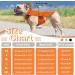 Buy Hjumarayan Cooling Vest for Dogs - Breathable Summer Coat with D-Rings (XL Orange) - Perfect for Hot Days | International Shipping - Buy Online on GoSupps.com