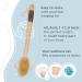 Lilienfeldt Lotus Wood Back Brush | 4 Cream & Sponge Holders | Long Handle Bathing Brush for Creams & Scrubs - Buy Online on GoSupps.com