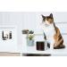 Petcube 2017: Smart Pet Camera with Interactive Laser Toy | HD Video, Two-Way Audio, Night Vision | App-Enabled Monitoring for Dog/Cat Safety - Buy Online on GoSupps.com