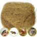 Coconut Husk Fiber For Reptile Cave Bedding Coco Coir Burrowing & Resting Vivarium Accessory For Hermit Crabs Bedding Material For Hamsters Bearded Dragons Snakes 100g - Buy Online on GoSupps.com
