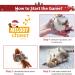GiGwi Interactive Cat Feather Toy with Melody Chaser and Squeaky Bird - Plush Toys for Indoor Cats - Buy Online on GoSupps.com