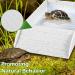 Tortoise Bath Dish Tortoise Water Bowl with Anti-Slip Ramp Reptile Food Dish Hermit Crab Climbing Toy Reusable Reptile Accessories Amphibians Habitat for Turtles Horned Frogs and Lizards Granite Color - Buy Online on GoSupps.com
