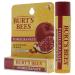 Burt's Bees Pomegranate Oil Lip Balm - 0.15 oz | Natural Moisturizing & Nourishing Lip Care - Shop Internationally - Buy Online on GoSupps.com