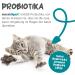 Maxxicat Maxxidigest+ Probiotics & Digestive Enzymes for Cats - Non-GMO Digestive & Immune Support Powder - 200g - Buy Online on GoSupps.com