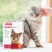 Beaphar | WORMclear Tablets for Cats | Kills All Common UK Intestinal Worms (Roundworms & Tapeworms) | Vet Strength Treatment | Meat-Flavoured | 2 Tablets (Pack of 1) 2 Tablets (Pack of 1) Single - Buy Online on GoSupps.com