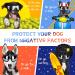 NVTED Dog Sunglasses | UV, Wind, Dust, and Fog Protection | Adjustable Strap | Medium/Large Dog Goggles (1 Pack) - Buy Online on GoSupps.com
