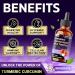 Tenmido 14in1 Liquid Turmeric Supplement with Ginger Milk Thistle Ceylon Cinnamon Artichoke Quercetin Berberine HCl Rosehip Dandelion Black Pepper & More - 30ml 1Fl Oz - Buy Online on GoSupps.com