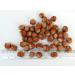 Buy IGART Hazelnuts in the Shell 20kg | Natural & Tasty | Eco Quality | Harvest 2023 - International Shipping Available - Buy Online on GoSupps.com