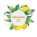 ATTITUDE Super Leaves Hypoallergenic Regenerating Body Cream - Lemon Leaves 8oz - Buy Online on GoSupps.com