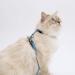 Catit Nylon Adjustable Cat Harness and Leash Set - Medium Blue - Buy Online on GoSupps.com
