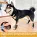 SCIROKKO 3 Pairs Double Anti-Slip Dog Socks - Adjustable Non-Skid Paw Protector for Small Dogs - Indoor and Outdoor Paw Grips for Traction Control and Lick Prevention - Black - Buy Online on GoSupps.com