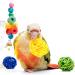 Youngever 12 Packs Bird Swing Toy with Hanging Bell - Ideal Parrot Toys for Parrots, Finches, Macaws, Cockatiels - Buy Online on GoSupps.com