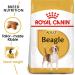 12KG Royal Canin Beagle Complete Dog Food - Buy Online on GoSupps.com