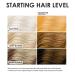 KERACOLOR Kit of 3-in-1 (Cleanse + Conditioner + Color) Honey Semi-Permanent Hair Dye and Finishing Hair Spray 10oz - Buy Online on GoSupps.com