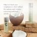 KARYNG Retinol Renewing Serum | Anti-Aging Face Serum for Fine Lines & Wrinkles | Retinol & Coconut Oil | 1oz - Buy Online on GoSupps.com