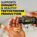 The Beard Club - Biotin Beard Growth Vitamins - Support A Thicker Fuller Beard Fill in Patches - Minerals & Multi-Vitamins Help Support and Stimulate Healthier Facial Hair Growth - Buy Online on GoSupps.com