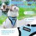 Rabbitgoo Cat Dishes & Leash Software | Premium Cat Harnesses & Sets for Ultimate Comfort - Buy Online on GoSupps.com