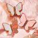 OIIBWQ 6 Colors Butterfly Design Eyeshadow Shimmer Matte Eye Shadows Gift for Mother Wife Red Rose - Buy Online on GoSupps.com