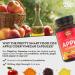 Organic Apple Cider Vinegar Capsules with Turmeric & Ginger - 1300MG Dosage - 120 Capsules - Made in the UK - Buy Online on GoSupps.com