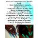 Glow in The Dark Soak Off Top Coat Gel Polish - For Nail Art with UV Lamp - Cre8tion - Buy Online on GoSupps.com