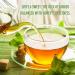 All Natural Instant Honeyed Ginger Drink 36-Count Bags - Buy Online on GoSupps.com