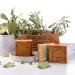 Natura Germania Original Aleppo Soap Set - 3 x 200g | 60% Olive Oil | 40% Laurel Oil | Natural & Eco-friendly | Includes Sisal Soap Bag - Buy Online on GoSupps.com