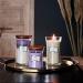 WoodWick Large Hourglass Trilogy Scented Candle with Crackling Wick Amethyst Sky Up to 130 Hours Burn Time Amethyst Sky Hourglass Large - Buy Online on GoSupps.com